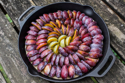 Fire Skillet with two handles