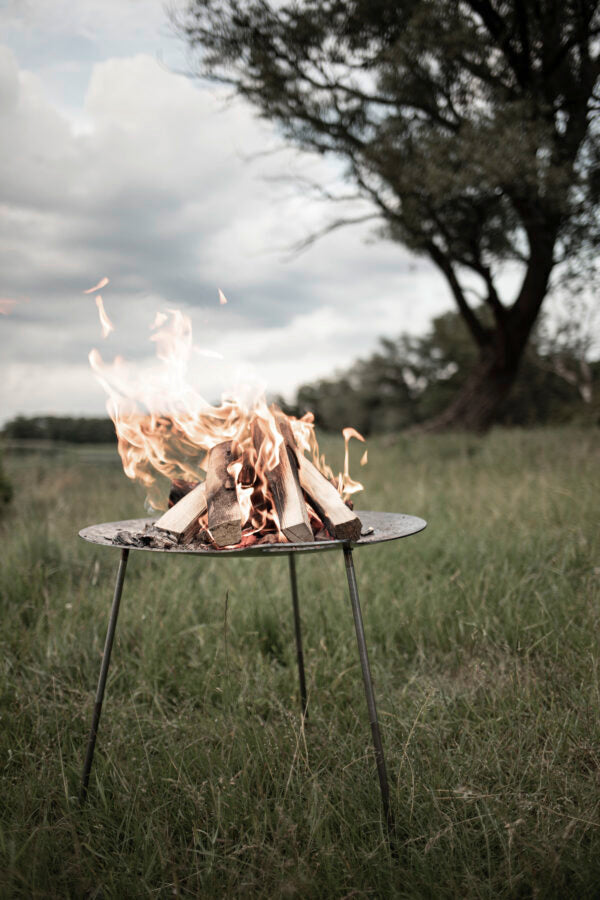 Griddle and Fire Bowl fs56